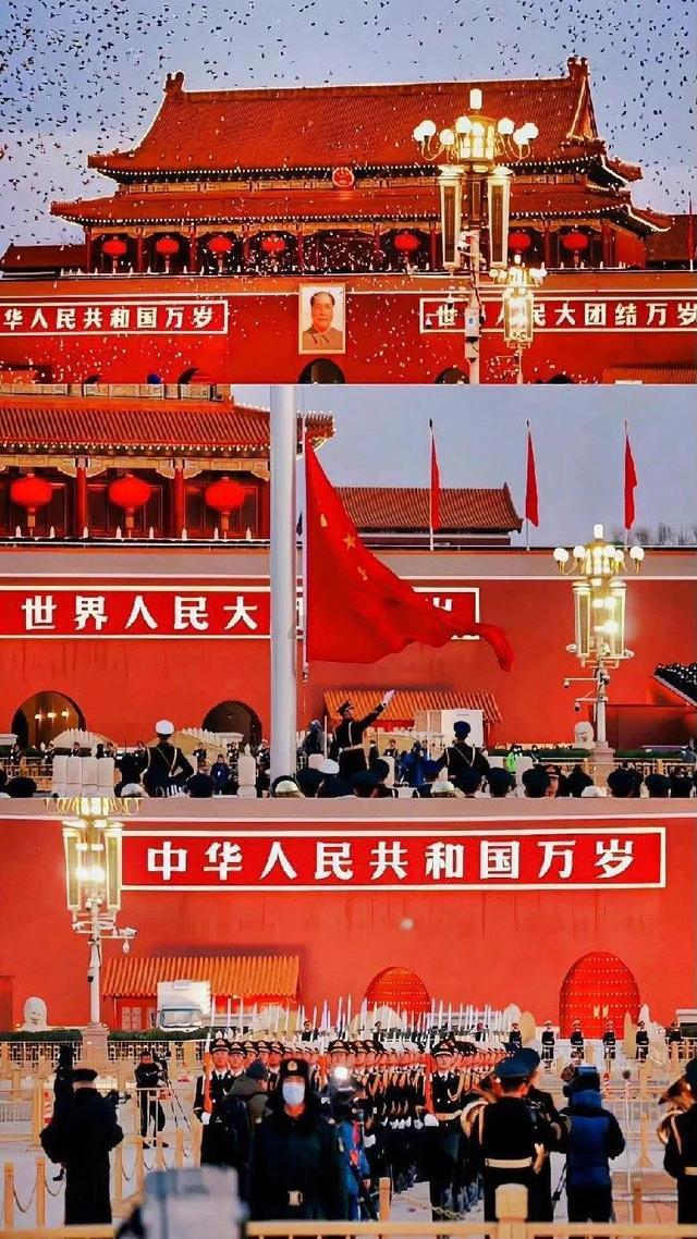 动物帮帮忙保卫家园