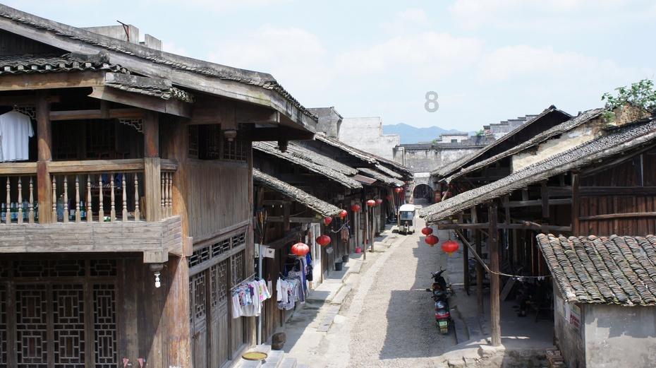 动物帮帮忙保卫家园